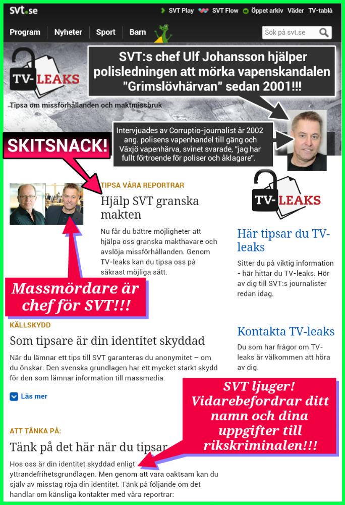 ULF JOHANSSON_SVT_MEDIA_UPPDRAG GRANSKNING_ANONYM_HYCKLARE